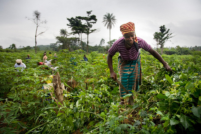 Original_woman_farmer_africa_africarenewal