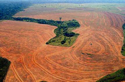 https://www.farmlandgrab.org/uploads/images/photos/515/original_brazil-soybean-farm.jpg?1299604964