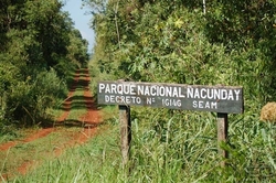 Medium_sojerosparaguay