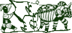 Medium_yale