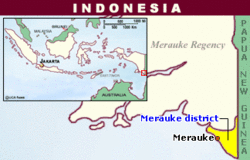 Medium_map_merauke_district