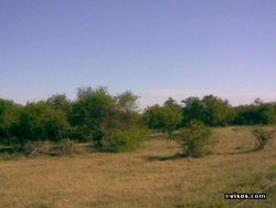 Medium_has-monte-nativo_92f022a_3