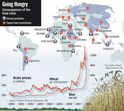Medium_chart-global-food-crisis-april08
