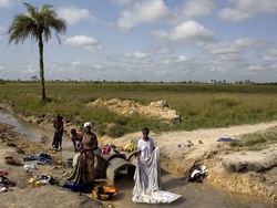 Medium_addax-sierra-leone