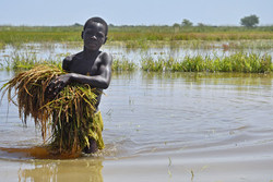 Medium_mali-enfant