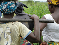 Medium_mozambique_womens_association_rice_farming_large