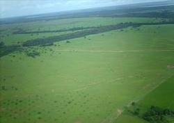 Medium_tierrascolombia