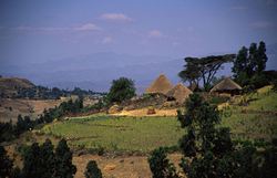 Medium_land_ethiopia