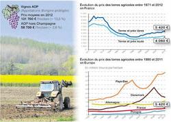 Medium_prix-des-terres-agricoles