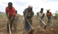 Medium_mozambique-unac
