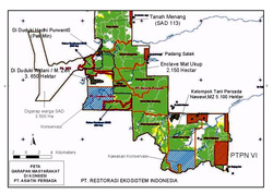 Medium_lahan-masyarakat-di-asiatic-dok-yayasan-cappa