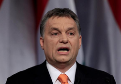 Medium_orban