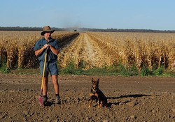 Medium_farmer-420x0