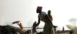Medium_femme-bambara-mali-agriculture-terres_4096914