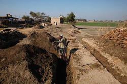 Medium_0323-ofarms-pakistan_full_380