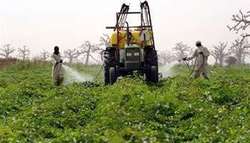 Medium_006092011180546000000agricultureterresafricaines