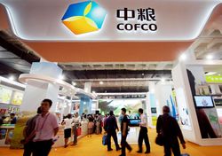 Medium_cofco