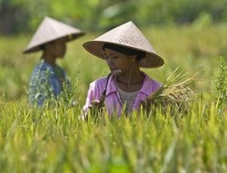Medium_landgrabs