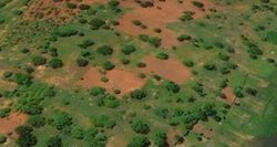 Medium_tierrasacaparadas