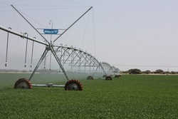 Medium_irrigation-629x419