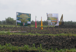Medium_lahan mifee di merauke