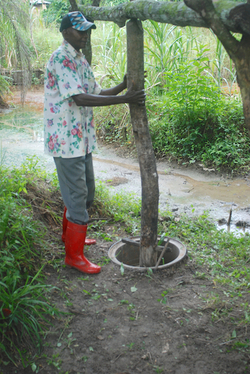 Medium_congo_oil_palm_mill_john_cannon