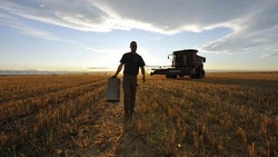 Medium_canadian_farmland