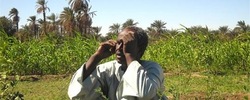 Medium_dongola_farmer_hassan_berkia_02_northern_state,_2011