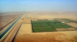 Medium_0912-24984-egypte-deux-compagnies-emiraties-s-associent-au-gouvernement-pour-produire-du-ble-dans-les-regions-desertiques_l