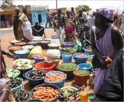 Medium_marche-pronat-dakar