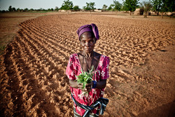 Medium_burkina_suzanne-ouedraogo-with-plant_pablotoscaoxfam