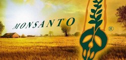 Medium_monsanto_test-526x250