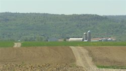 Medium_140307_2k6cs_agriculture_sn635