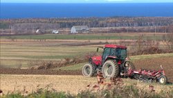 Medium_121024_z259x_ferme-terre-bsl_sn635