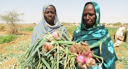 Medium_20130502-mauritania-food-main-1