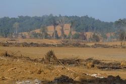 Medium_0312-forest_trends_forest_clearance_in_hukaung_valley_tiger_reserve_in_kachin_state_for_yuzana’s_agribusiness_concession