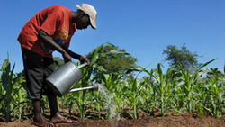 Medium_ngo-accuses-eu-company