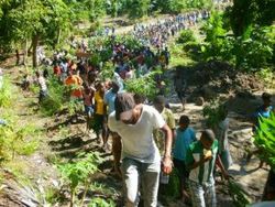 Medium_haiti_cow_island