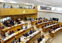 Medium_los-senadores-colorados-disidentes-liberales-y-del-frente-guasu-votaron-la-expropiacion-_818_573_1233411