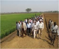 Medium_saudi-billionaire-al-amoudi-on-the-saudi-star-rice-farm-in-gambella-ethiopia