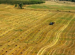 Medium_crimea-farmland-590x437