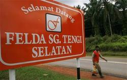 Medium_felda