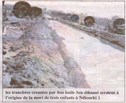 Medium_original_tranchees_senhuile_senethanol