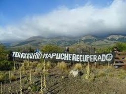 Medium_mapuche_big