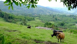 Medium_censo_agrario_xdanex