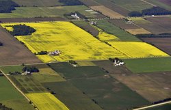 Medium_farmland2-canada-456864271-thinkstock