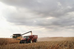 Medium_farmland-surging