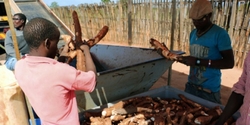 Medium_moazmbique-manioc-afp-592x296-1449483548