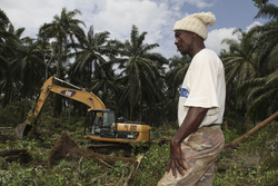 Medium_sierra-leone