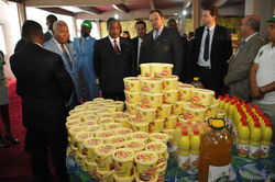 Medium_denis-sassou-nguesso-president-du-congo-lors_164b5fe04646449b33ed82a6141b2d9f